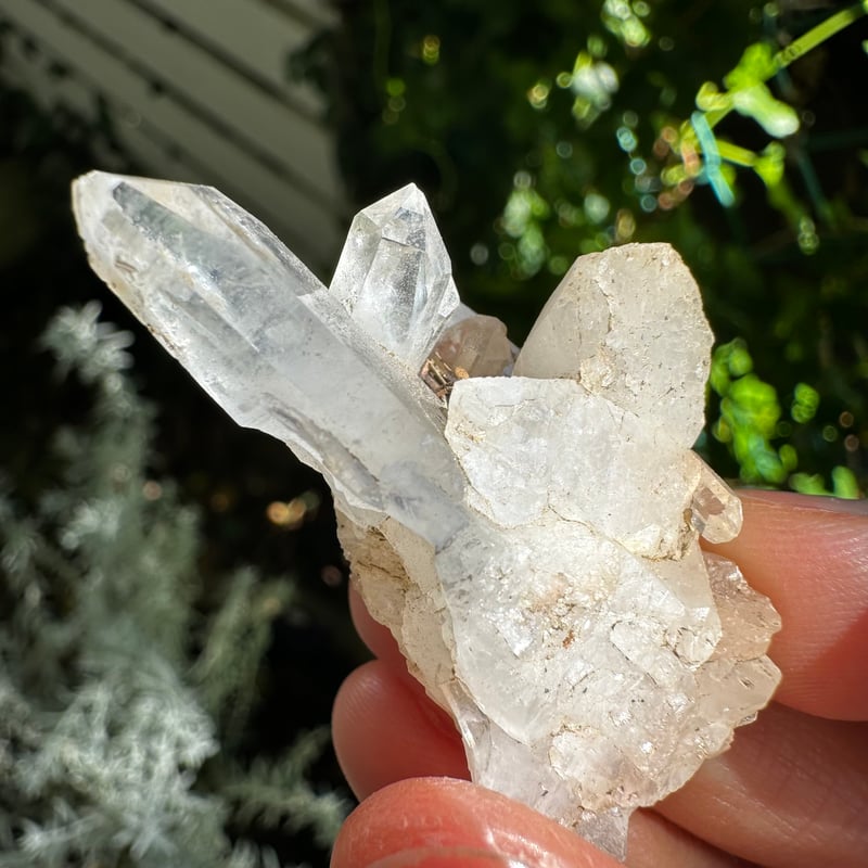 MGM【オールドストック・証明書あり】メロディ グリーン マイン