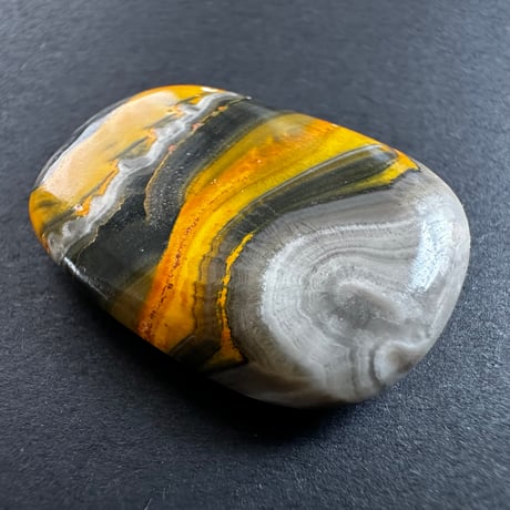 バンブルビージャスパー | STORES