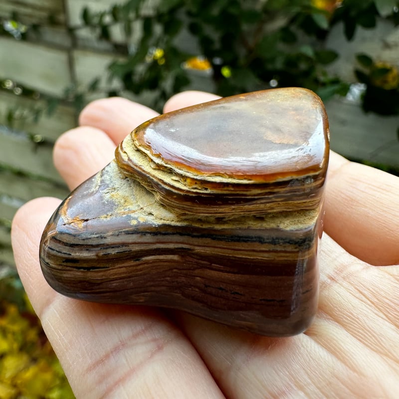 ビッグスフォーメーション・ピクチャージャスパーNo.2 | Native