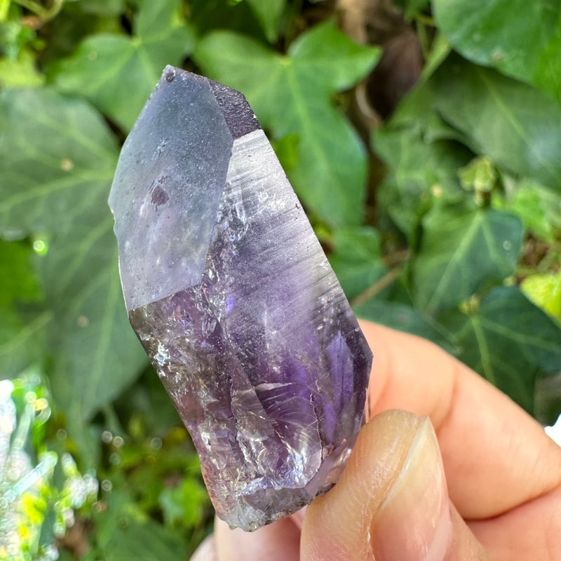 専用ページ ブランドバーグアメジスト7 濃色 ブルーフラッシュ 専用ページ ブランドバーグアメジスト7 濃色 ブルーフラッシュ