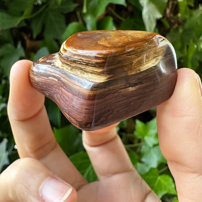 ビッグスフォーメーション・ピクチャージャスパーNo.2 | Native