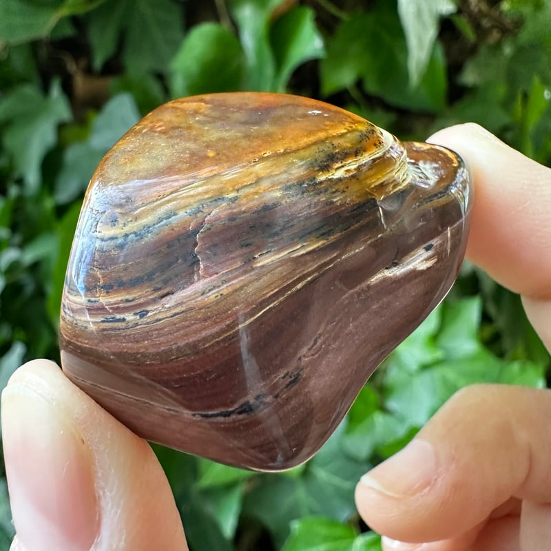 ビッグスフォーメーション・ピクチャージャスパーNo.2 | Native