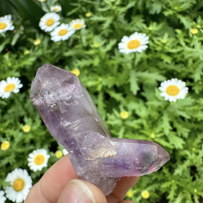 人気クリスタル！ ブランドバーグアメジスト1 ブランドバーグアメシスト原石 No. 1 | Native Stellar Alchemy