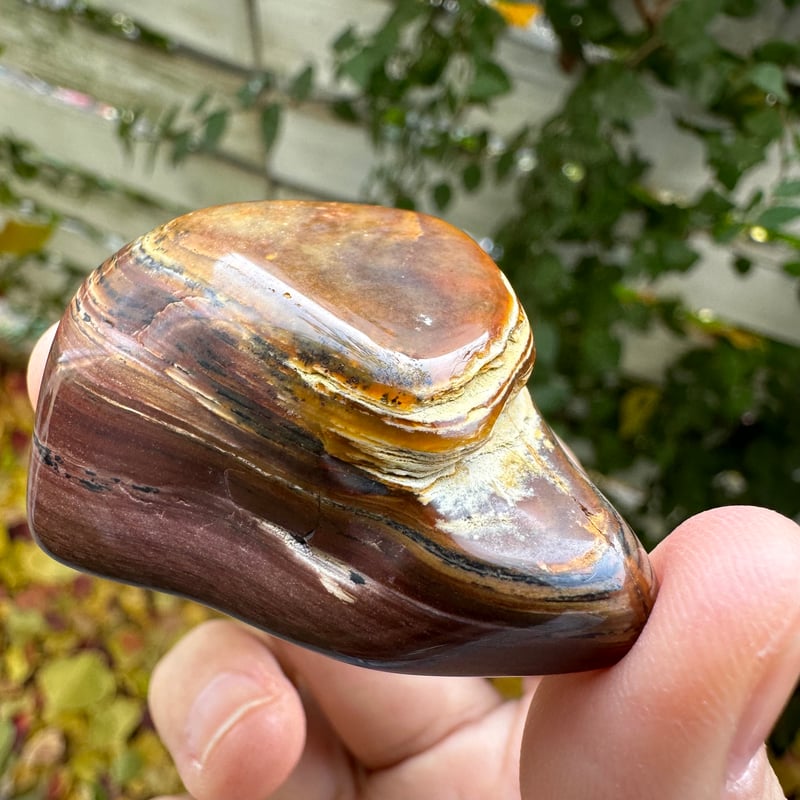 ビッグスフォーメーション・ピクチャージャスパーNo.2 | Native