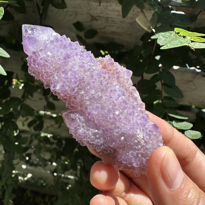 スピリットクォーツ（カクタスクォーツ）No. 1 | Native Stellar Alchemy