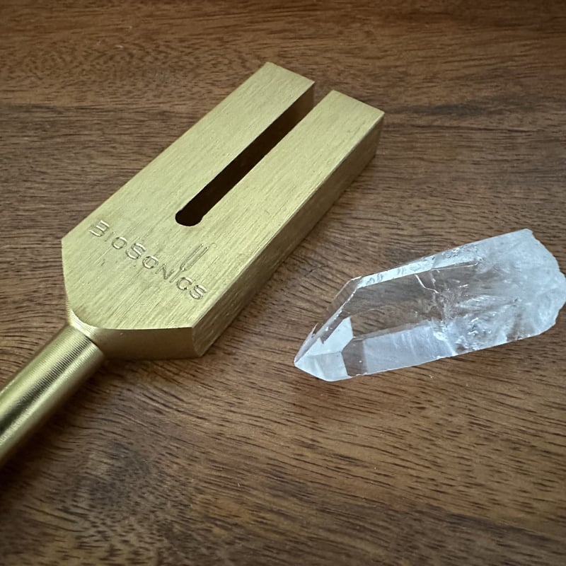 BIOSONICS社製ゴールデンレムリアンチューナーセット | Native