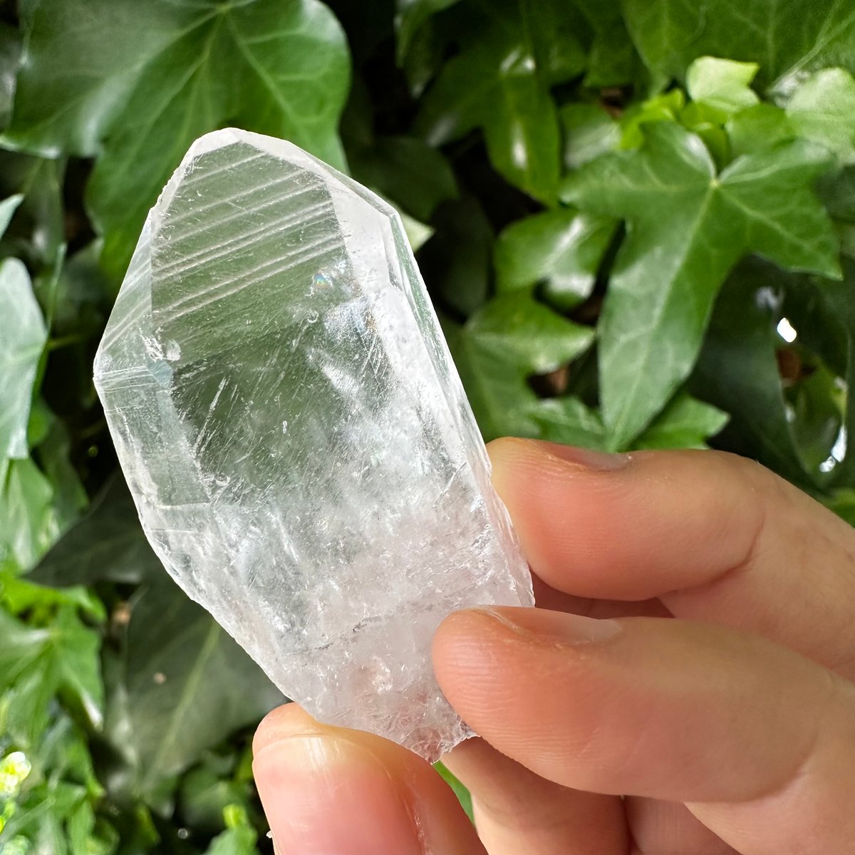 レムリアンシードクリスタル ポイントNo. A-20 | Native Stellar Alc