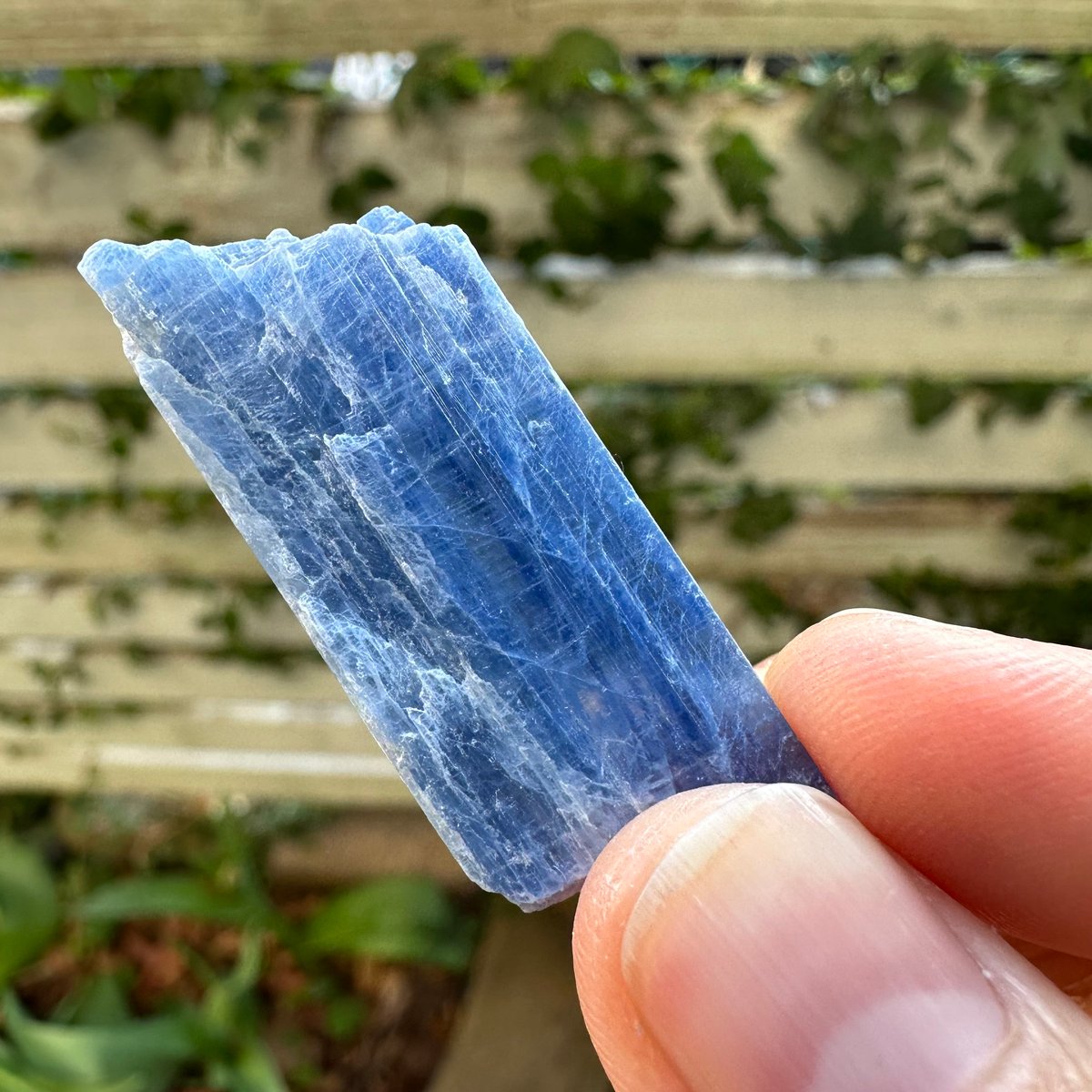 カイヤナイト原石 No. 6 | Native Stellar Alchemy