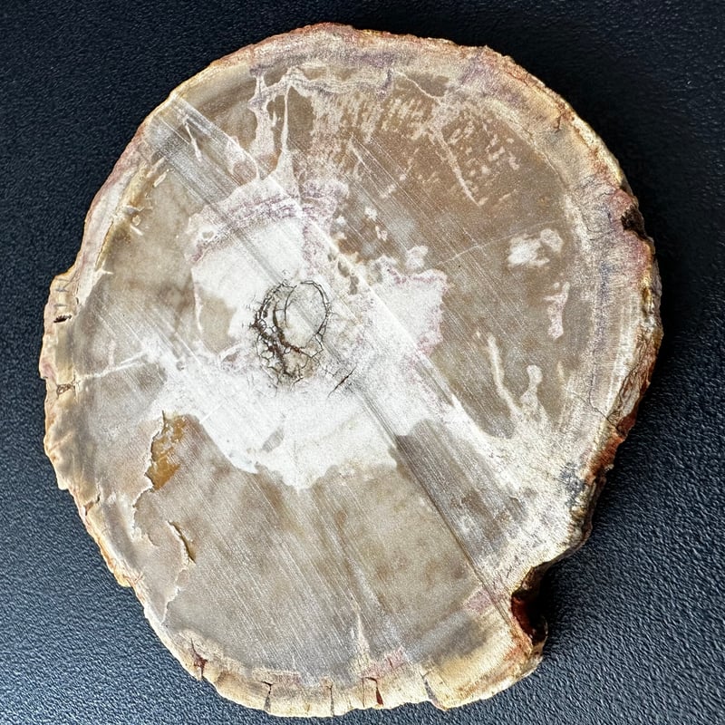 ペトリファイドウッド No.1 | Native Stellar Alchemy