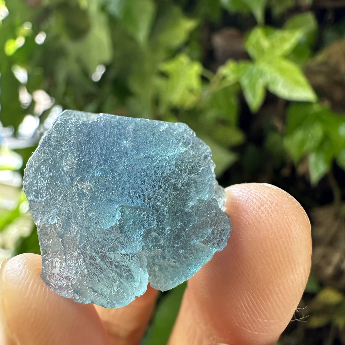 アルプスフローライト結晶 No. 1 | Native Stellar Alchemy