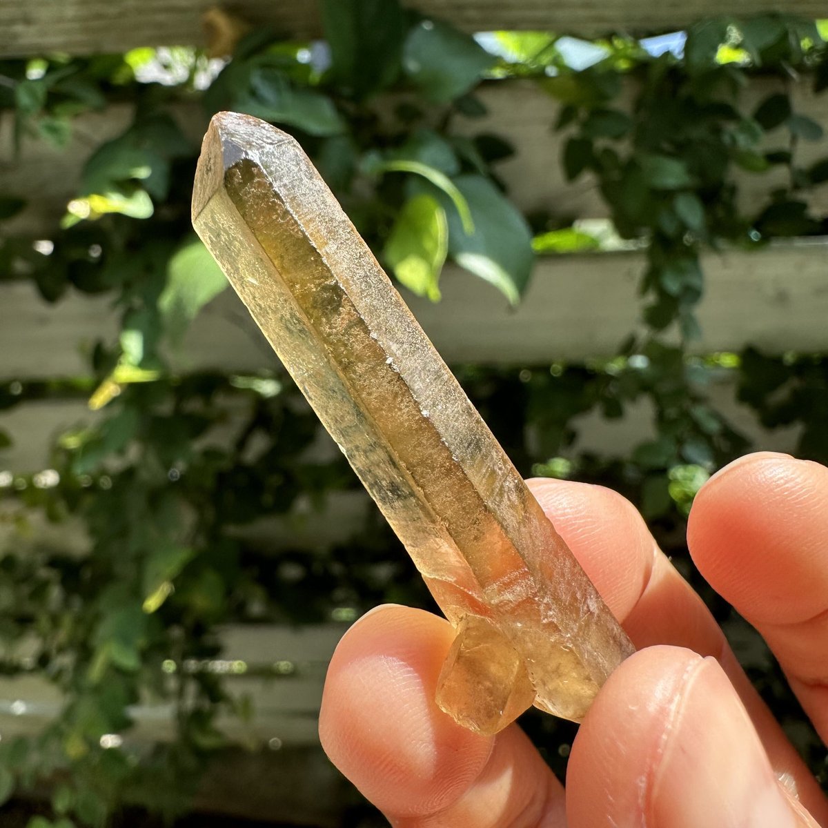 シトリン⭐︎天然石 非加熱 シトリンクォーツ ポイント 原石 Citrine 黄水晶 11月