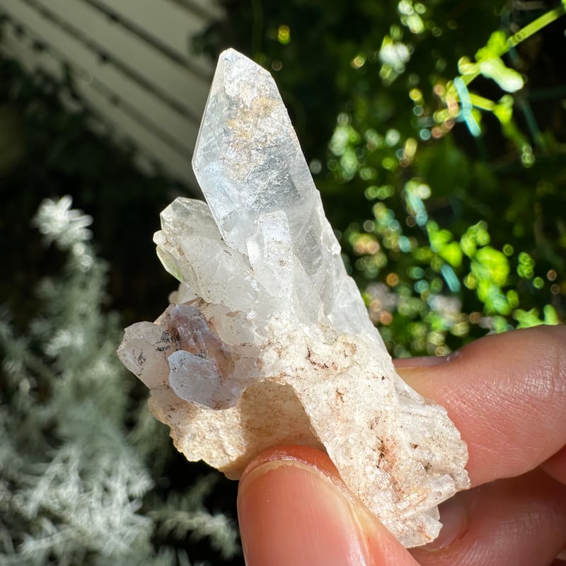 MGMクォーツ（メロディ・ガレージセール）#5（クラスター） | Native