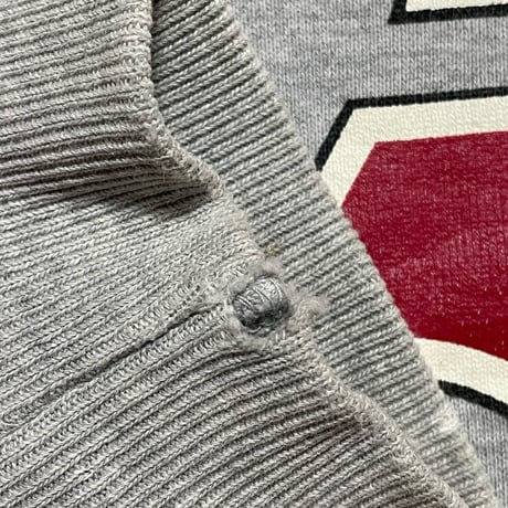 POLO RALPHLAUREN　"SCRIPT LOGO" SWEAT
