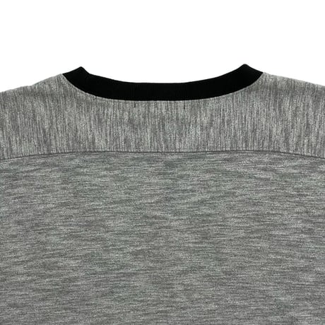 POLO SPORT RALPHLAUREN　"TIGER" HEAVY S/S TEE