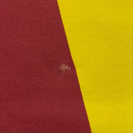 POLO RALPHLAUREN　"COLOR BLOCK" HOODIE