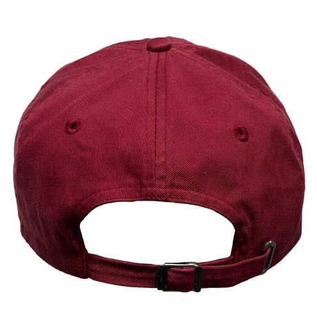 POLO SPORT RALPHLAUREN　"USA FLAG" 6-PANEL CAP