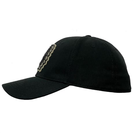 POLO RALPHLAUREN　"AMERICAN INDIAN" BASEBALL CAP