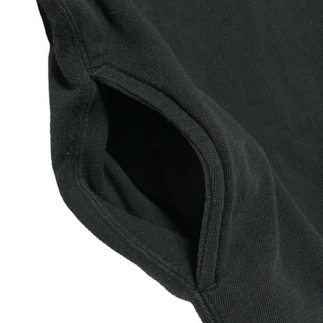 POLO SPORT RALPHLAUREN　"USA FLAG" HOODIE