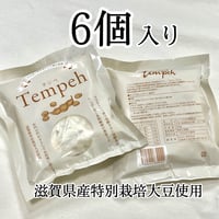 滋賀県産特別栽培大豆テンペ 　6個セット(冷凍)