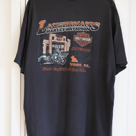 【3XL-size】ハーレー古着Tシャツ パンヘッド バックプリント