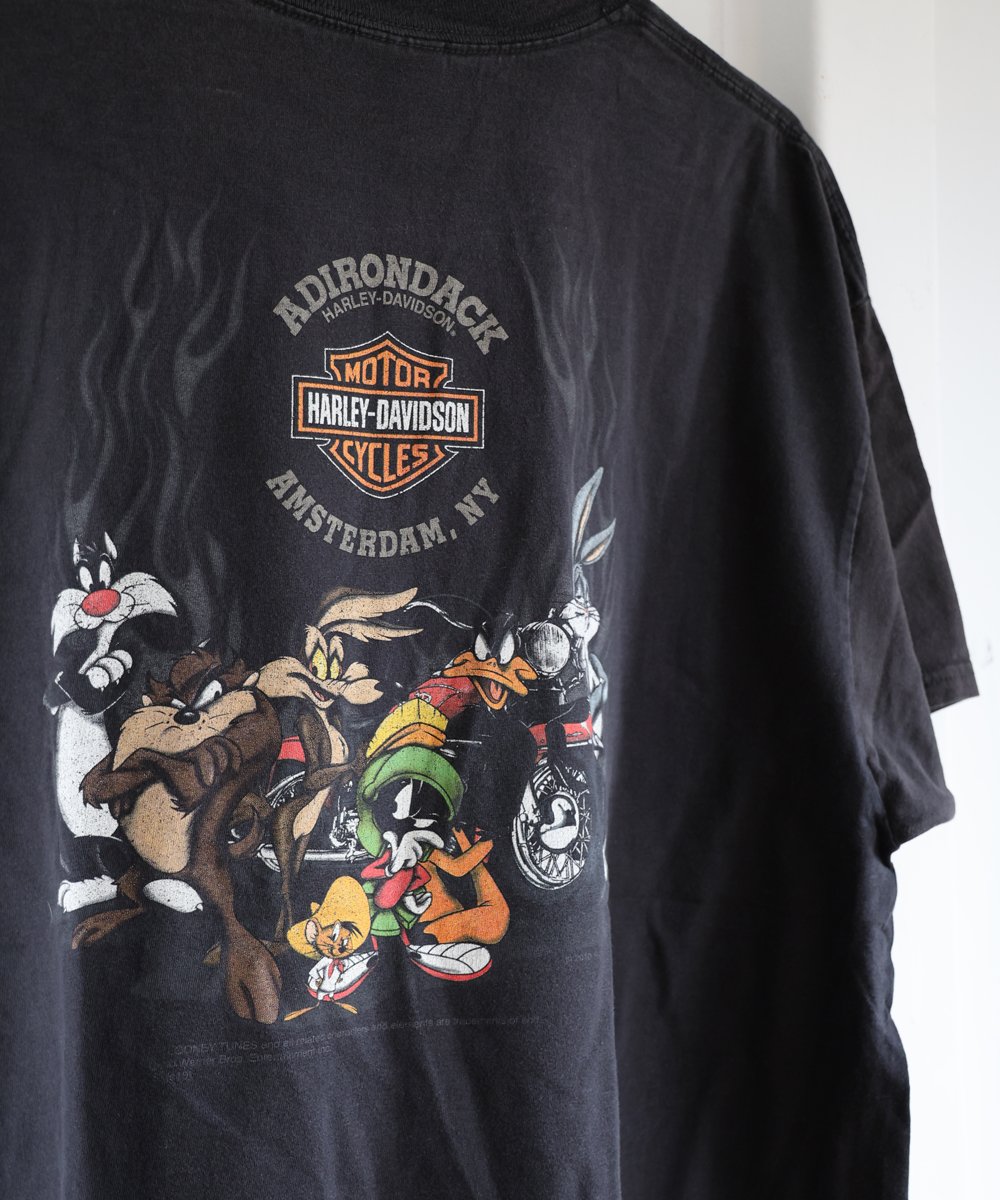 ハーレーダビッドソン ルーニーテューンズ Tシャツ タズマニアンデビル VTG 1992 Harley Davidson Looney Tunes Tasmanian Devil Long