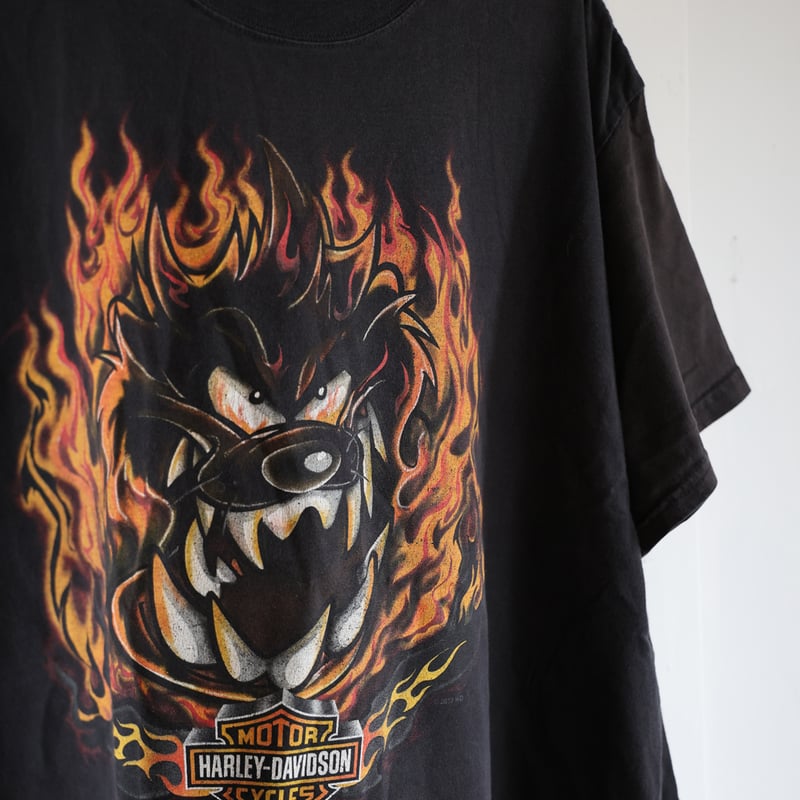 ハーレーダビッドソン　タズマニアンデビル　Tシャツ　Lサイズ　ブラウン　古着 ハーレーダビッドソン タズマニアンデビル Tシャツ Lサイズ