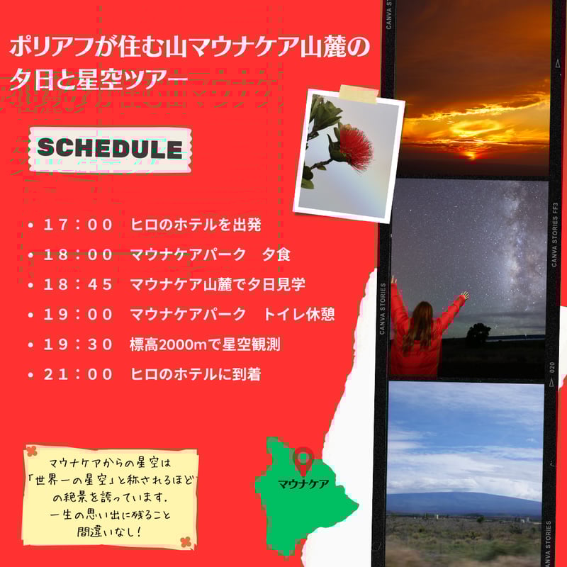メリーモナーク2025 BIGJINと行く ハワイ島オプショナルツアー メリーモナーク2025 BIGJINと行く ハワイ島オプショナルツアー