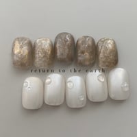 return to the earth