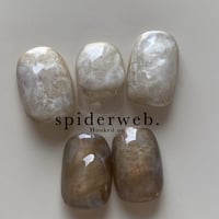 spiderweb.