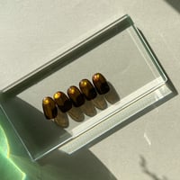 かるしふぁ〜.