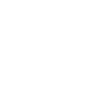 URBAN NIGHT OWL