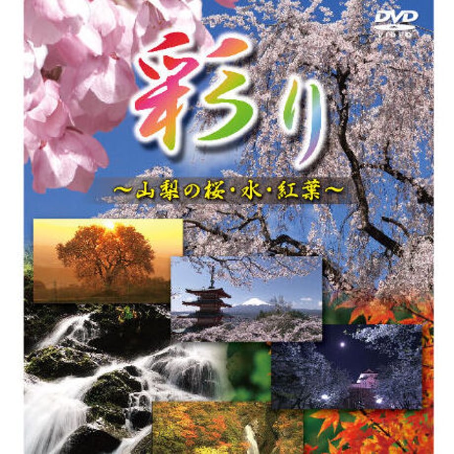 63abc7336a2a0a6f00b8e7c1