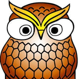 OWL CRAFT