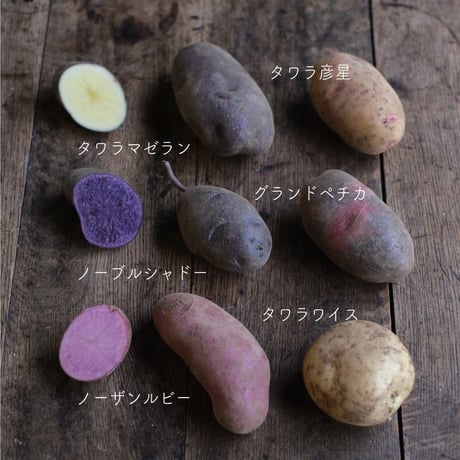 JIKE STUDIO FARMのじゃがいも食べ比べセット（3kg）