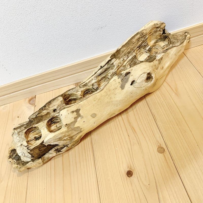 流木 アロマタッチ オイルスタンド | HIMAWARI SHOP