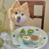Levande bevis dogs