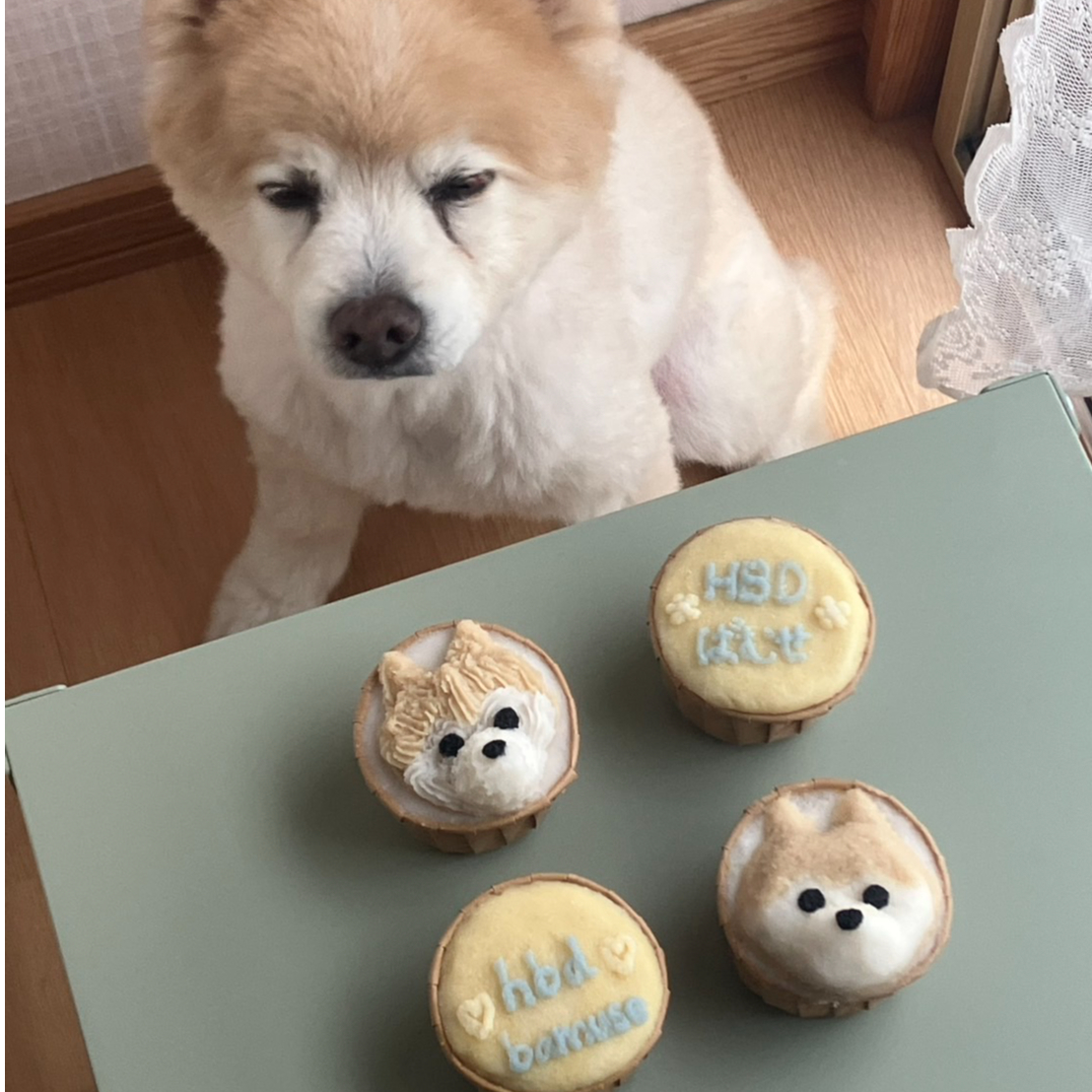 冷凍配送】似顔絵カップケーキ2個セット入金フォーム | Levande bevis dogs