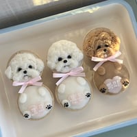 【冷凍配送】2頭身カップケーキ入金フォーム