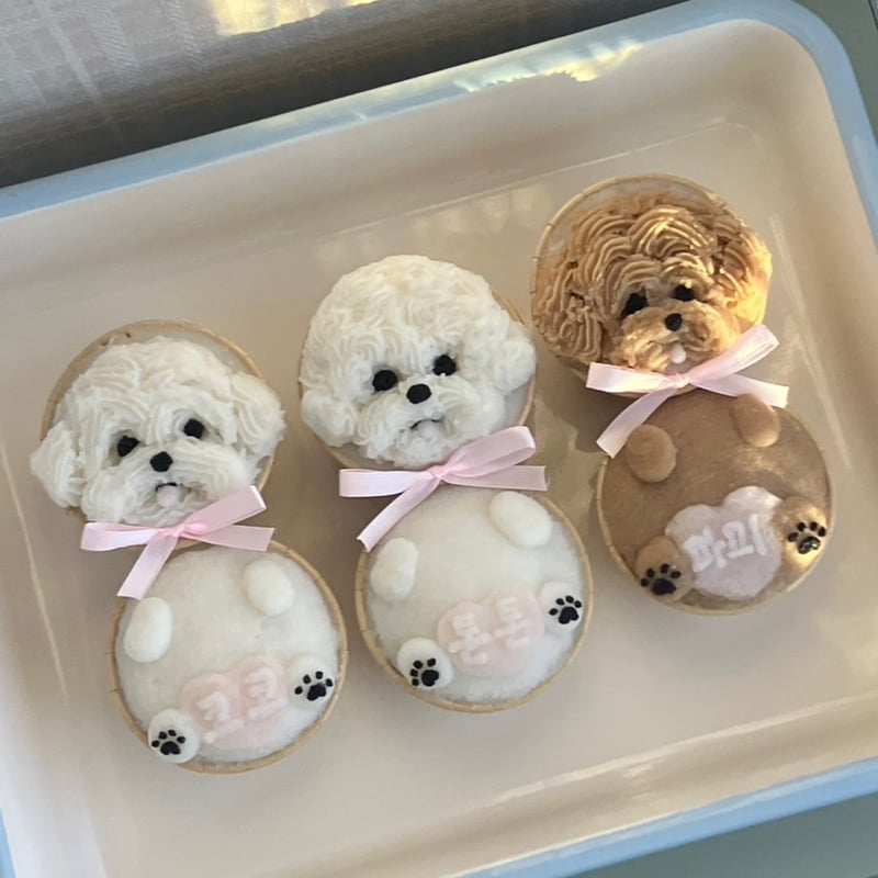 it-dogsカップケーキドレスＳ カップケーキ犬_カタログ_ol - Squishy Japan