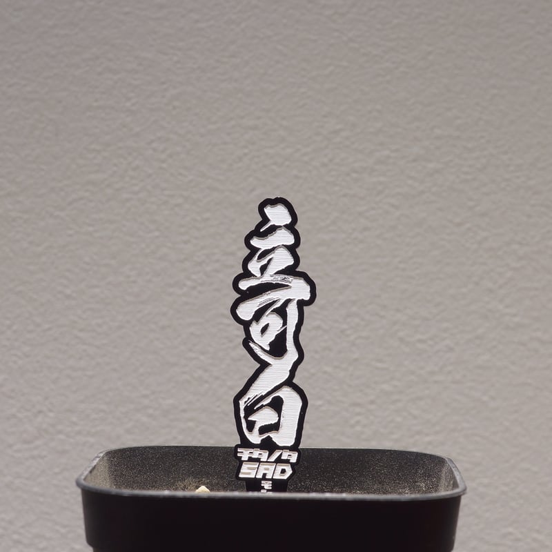 アガベ 品種 プランツタグ 黒】立可白 (SAD) | アガベ専門店
