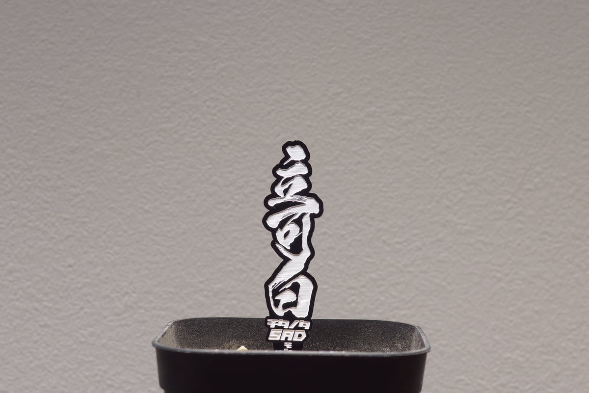 アガベ 品種 プランツタグ 黒】立可白 (SAD) | アガベ専門店