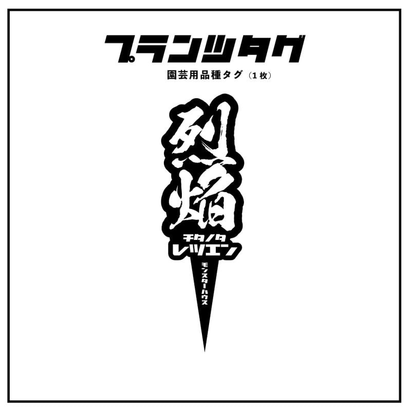 アガベ 品種 プランツタグ 黒】チタノタ 烈焔 | アガベ専門店