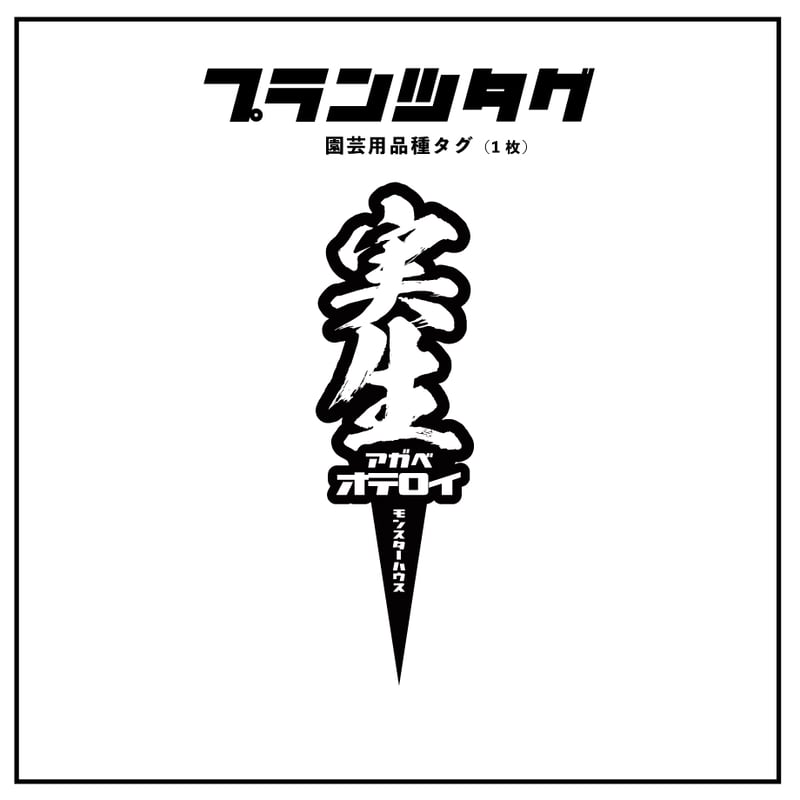 アガベ 品種 プランツタグ 黒】オテロイ 実生 | アガベ専門店