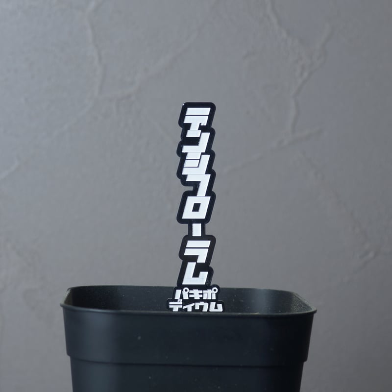 DJ plants 鰐亀 🌿Agave ttanota '鰐亀' ①🐊🐢 毎回言ってますがとにかく好みで