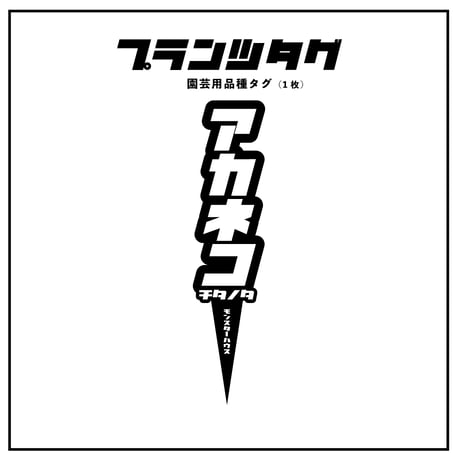 CATEGORY 【品種タグ】レッドキャットウィーズル/赤猫 | アガベ専門店