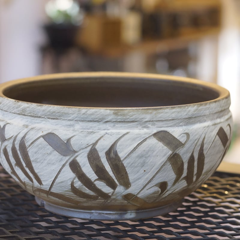 刻紋鉢 Kokumon KM-07 | アガベ専門店 モンスターハウス