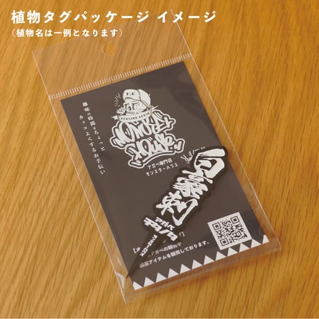 【パキポディウム 品種 プランツタグ 黒】 エブレネウム