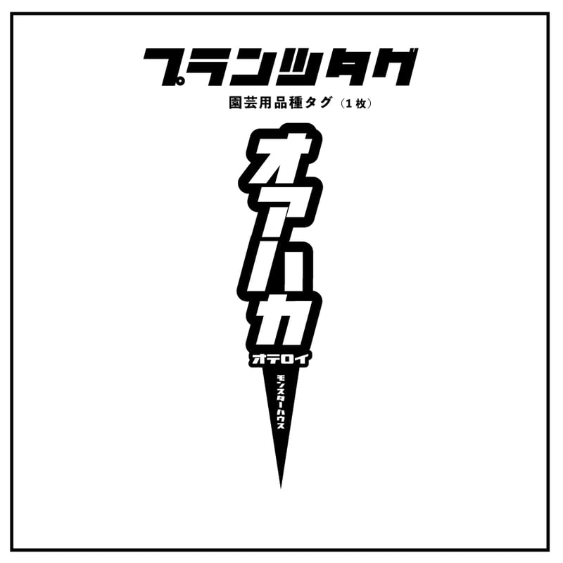 アガベ 品種 プランツタグ 黒】チタノタ オアハカ | アガベ専門店