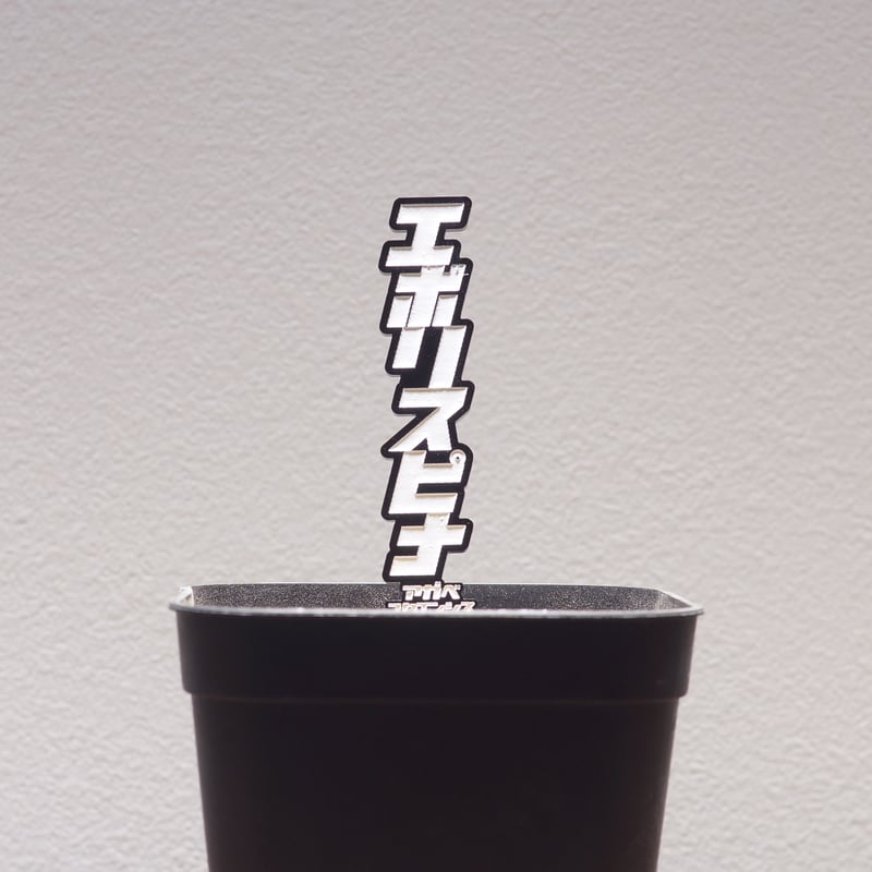 アガベ 品種 プランツタグ 黒】エボリスピナ | アガベ専門店