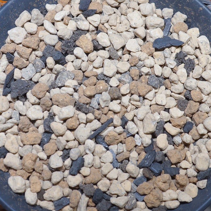 アガベ　【土】 アガベ 塊根植物の土】マルメルド（2リットルサイズ用土） | アガベ